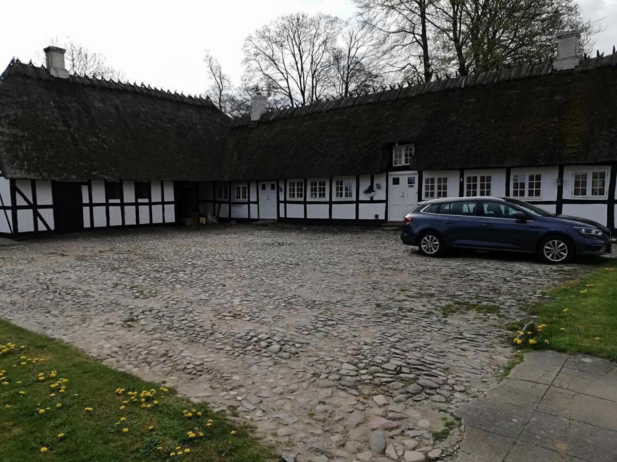 Baekgaarden B&B Lyndelse エクステリア 写真